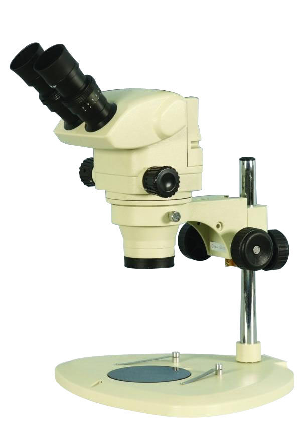 �pĿ���w�@΢�RSX-4