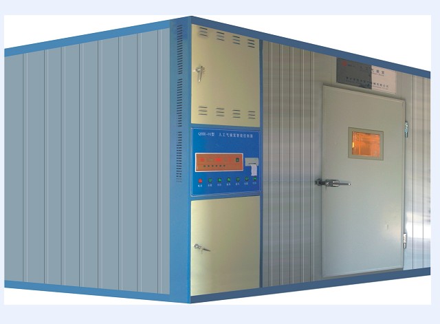 �˹������