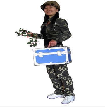 �Ԅ�ˮ�|(zh��)�ɘ��� (�p��ʽ)BC-9600