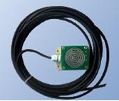 ��ѩ������