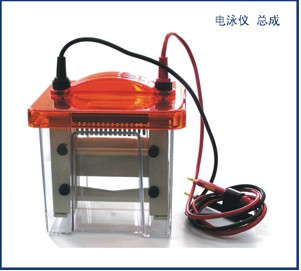 ���㴹ֱ�Ӿ�xBG-verMINI