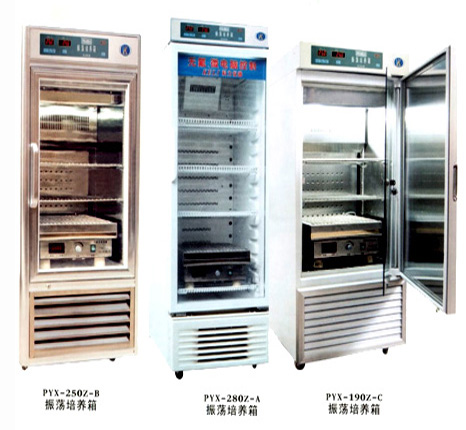 ��ʎ���B(y��ng)��