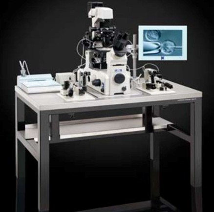 AV1�@΢���������_