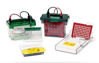 ����Criterion�A(y��)���zϵ�y(t��ng)