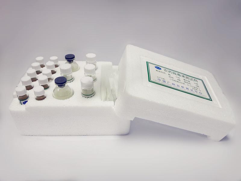 �r(n��ng)ˎ����ԇ��