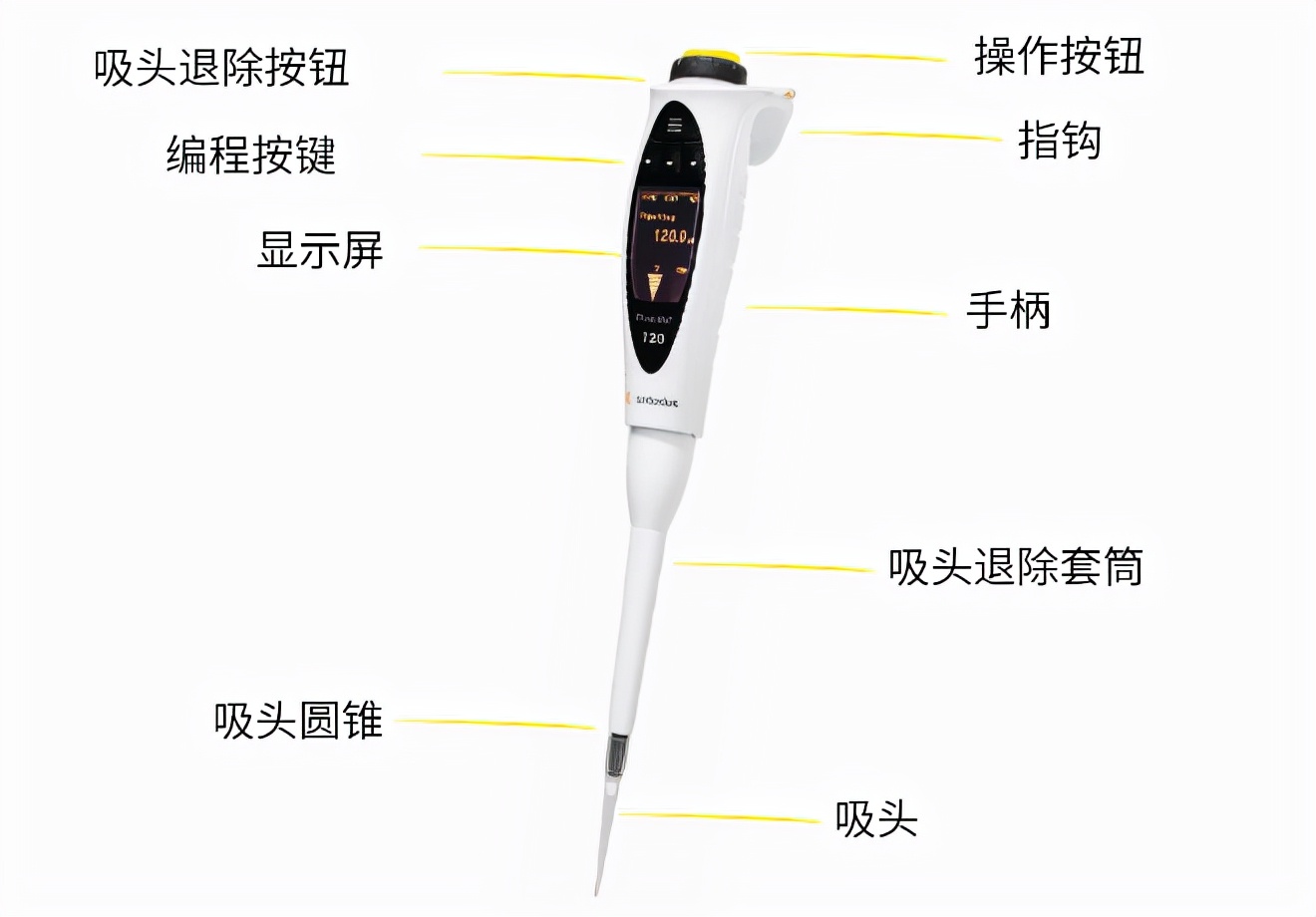 ِ����˹늄���Һ��